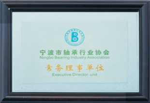 Ningbo Wanshun Bearing Co., Ltd.